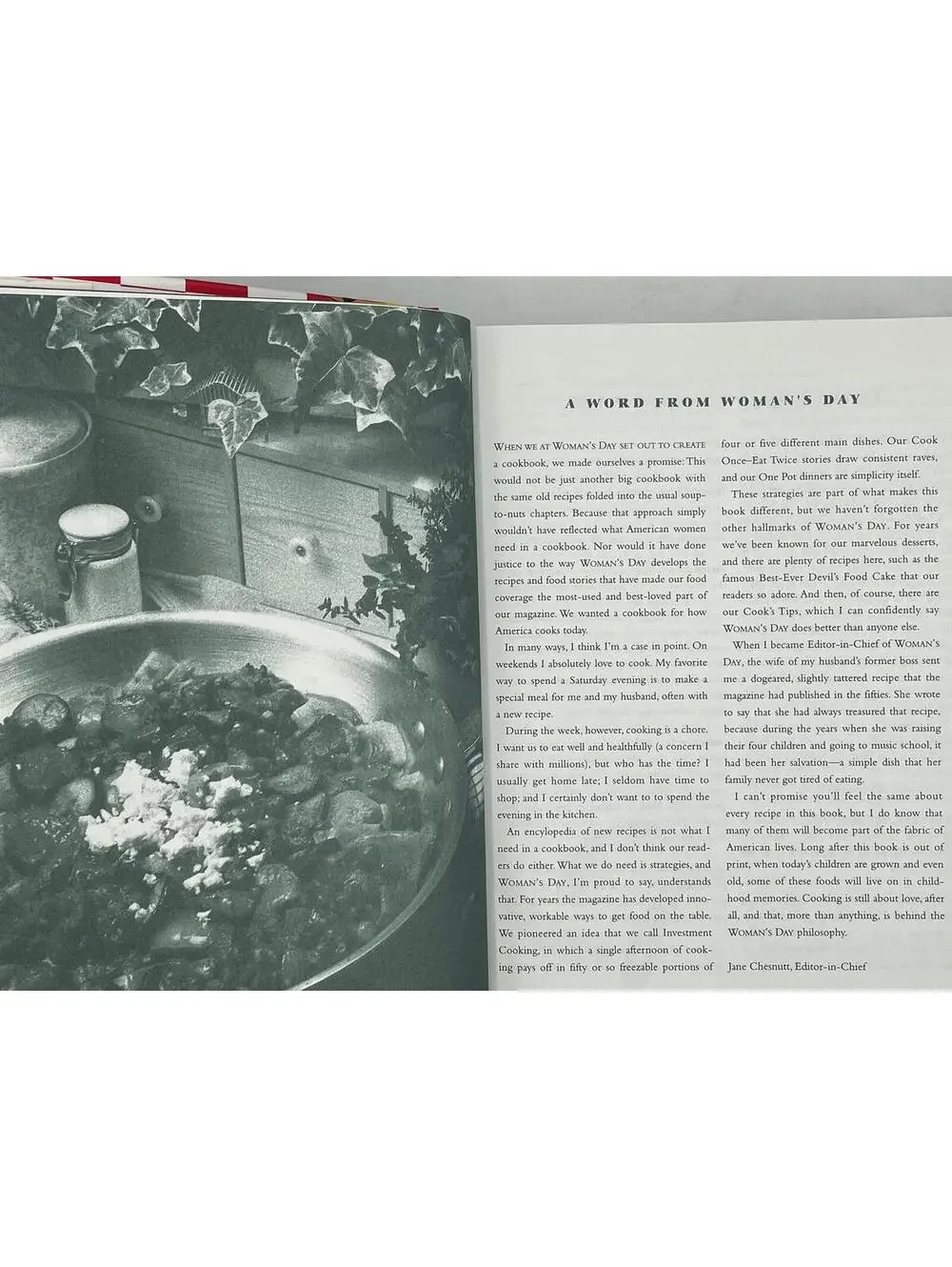 Vintage Woman's Day Cookbook, 1995, Illustrated Recipes